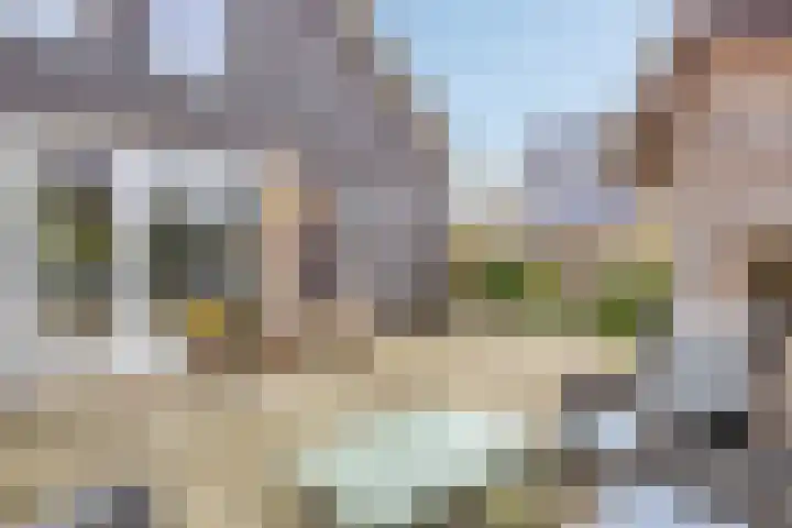 Paaldijk 182 Zwaag thumbnail 18