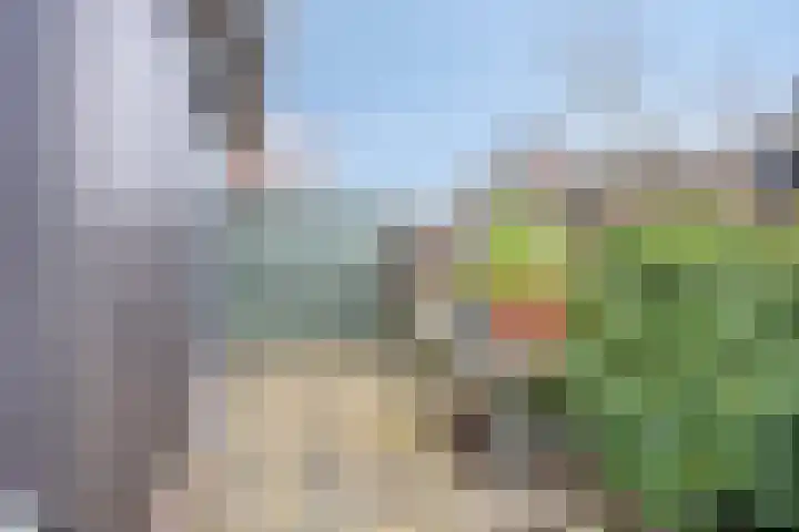 Paaldijk 182 Zwaag thumbnail 20