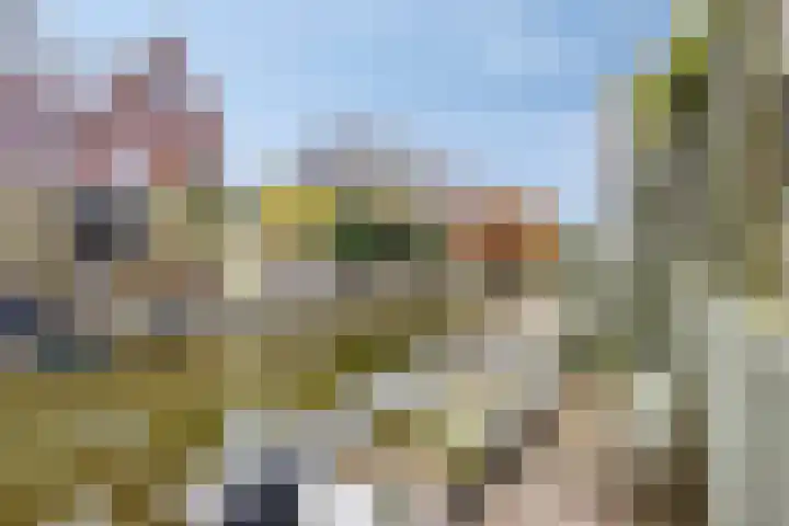 Paaldijk 182 Zwaag thumbnail 25