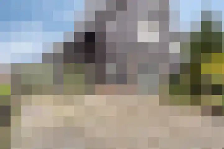 Paaldijk 182 Zwaag thumbnail 27