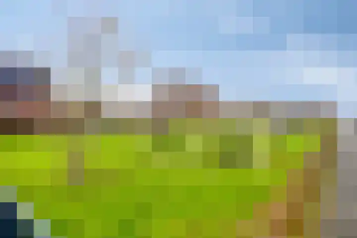 Paaldijk 182 Zwaag thumbnail 28