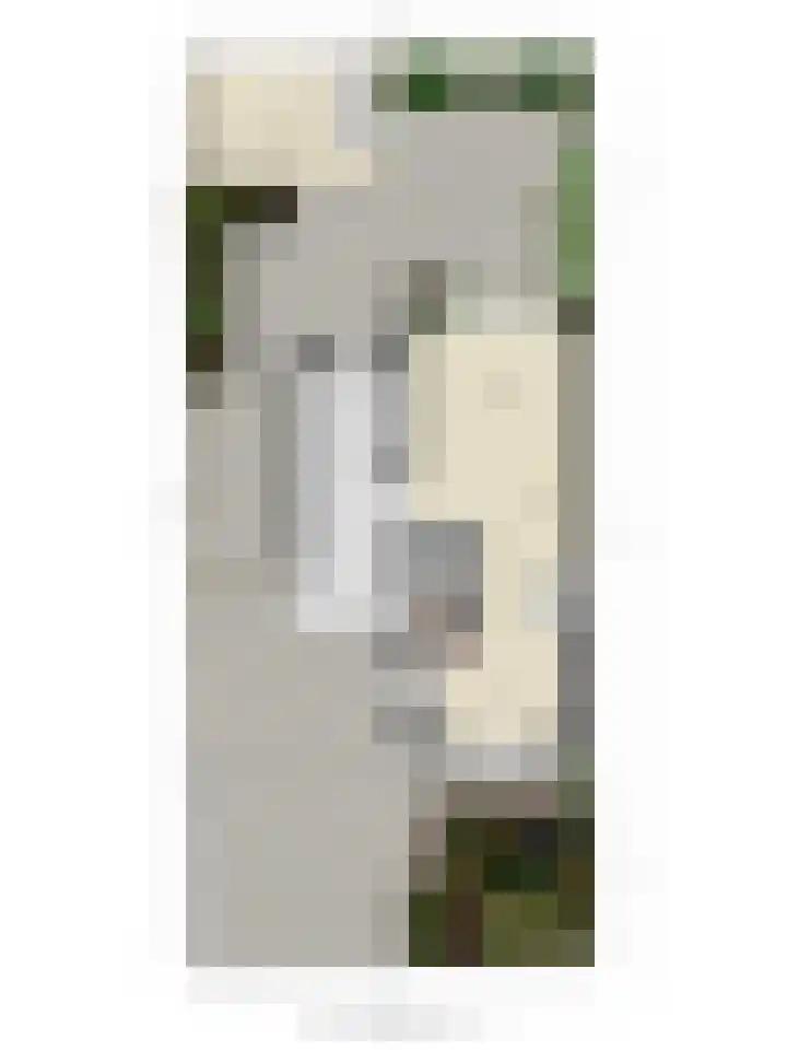 Paaldijk 182 Zwaag thumbnail 29