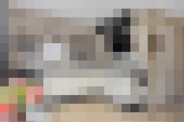 Paaldijk 182 Zwaag thumbnail 5