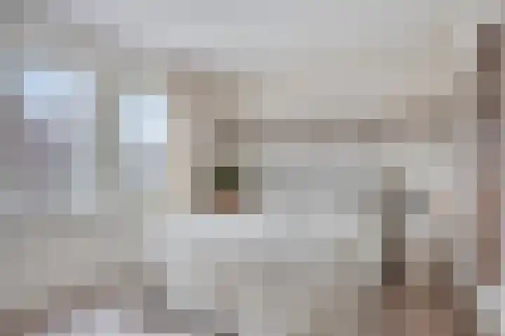 Paaldijk 182 Zwaag thumbnail 8