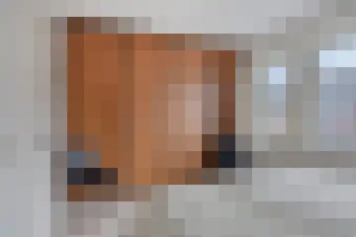 Paaldijk 182 Zwaag thumbnail 9