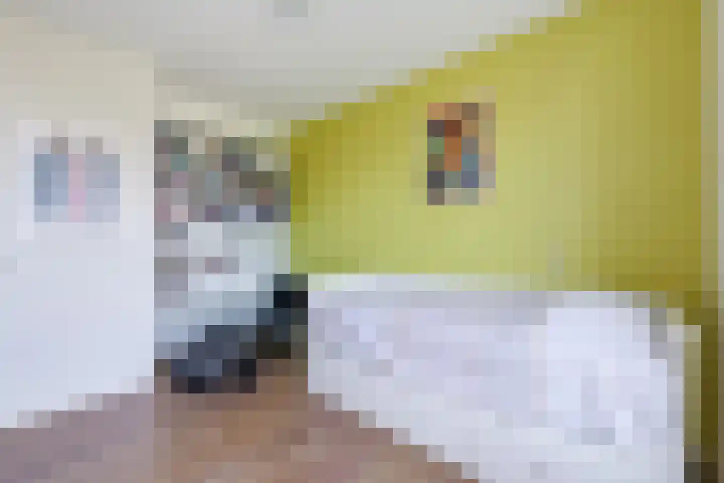 Paaldijk 186 Zwaag thumbnail 44