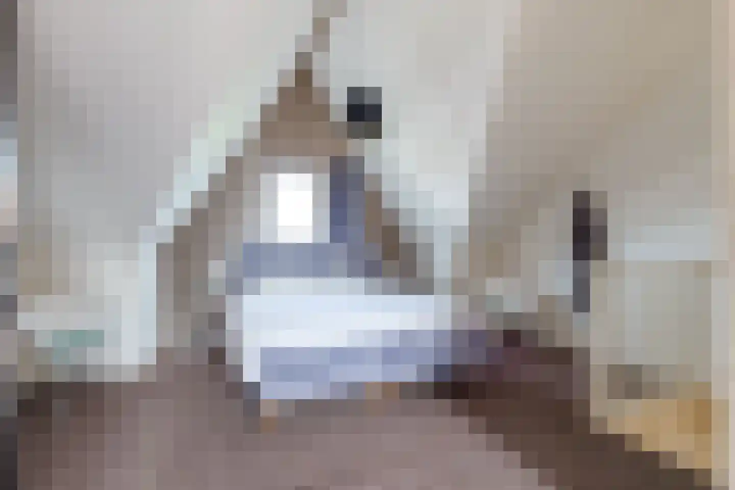 Paaldijk 186 Zwaag thumbnail 55
