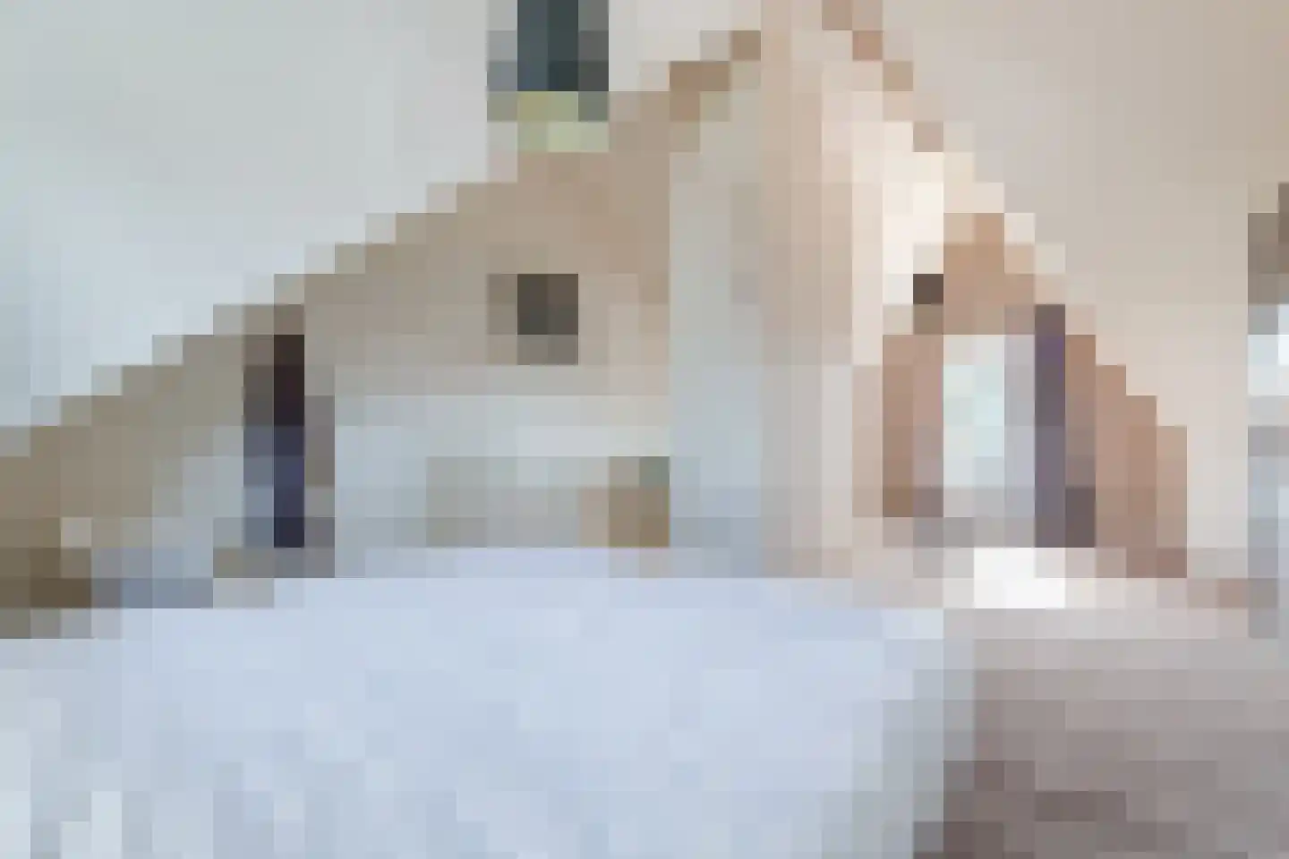 Paaldijk 186 Zwaag thumbnail 57