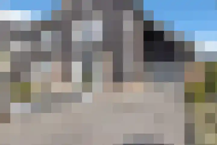 Paaldijk 192 Zwaag thumbnail 4