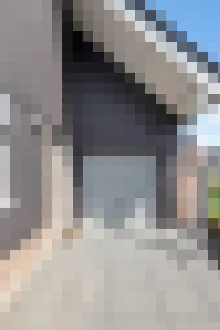 Paaldijk 192 Zwaag thumbnail 6