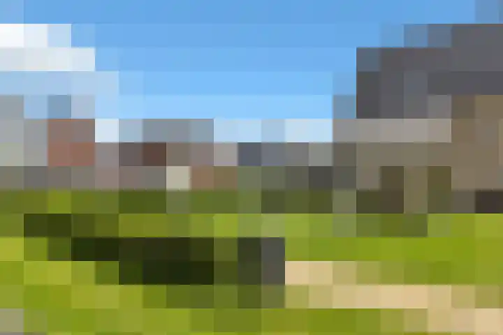 Paaldijk 192 Zwaag thumbnail 7