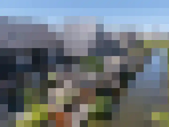 Paaldijk 193 Zwaag thumbnail 28