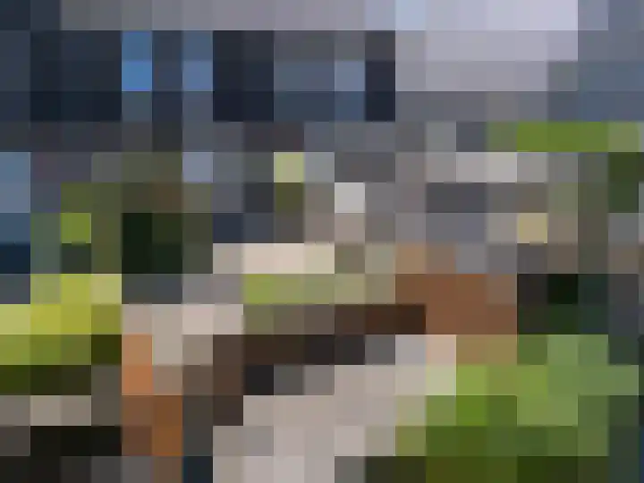 Paaldijk 193 Zwaag thumbnail 29