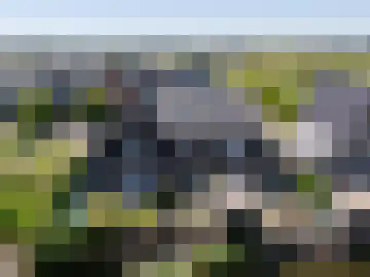 Paaldijk 193 Zwaag thumbnail 30