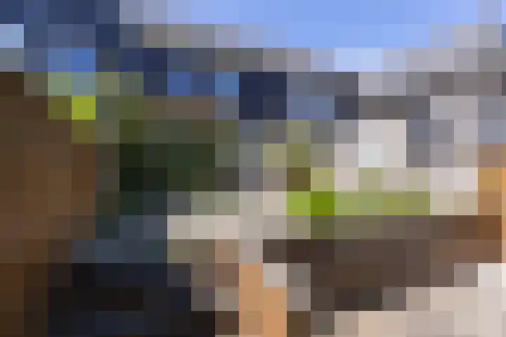 Paaldijk 193 Zwaag thumbnail 33