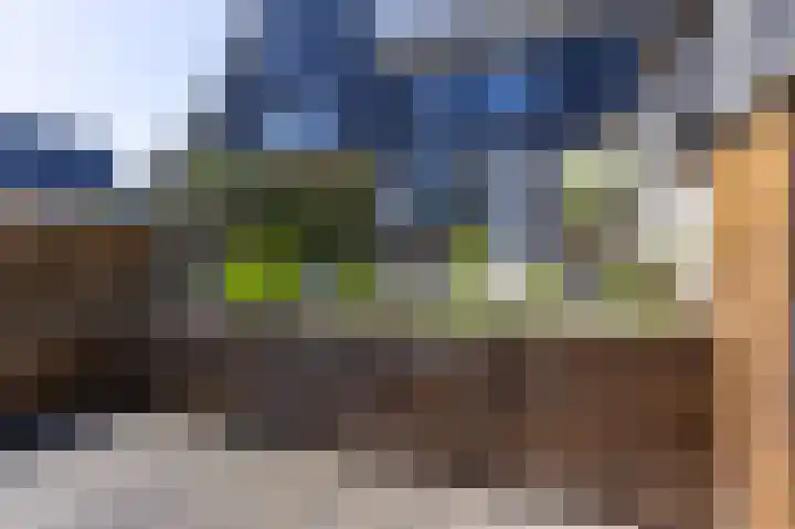 Paaldijk 193 Zwaag thumbnail 34