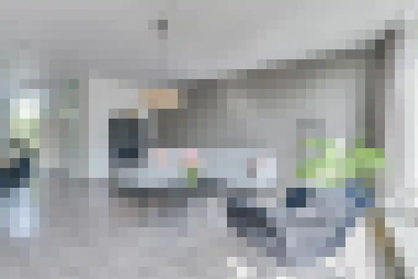 Paaldijk 2 Zwaag thumbnail 10