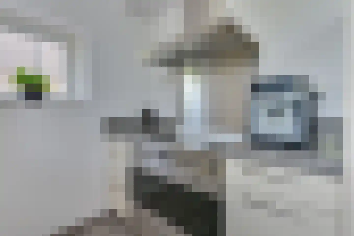 Paaldijk 2 Zwaag thumbnail 17