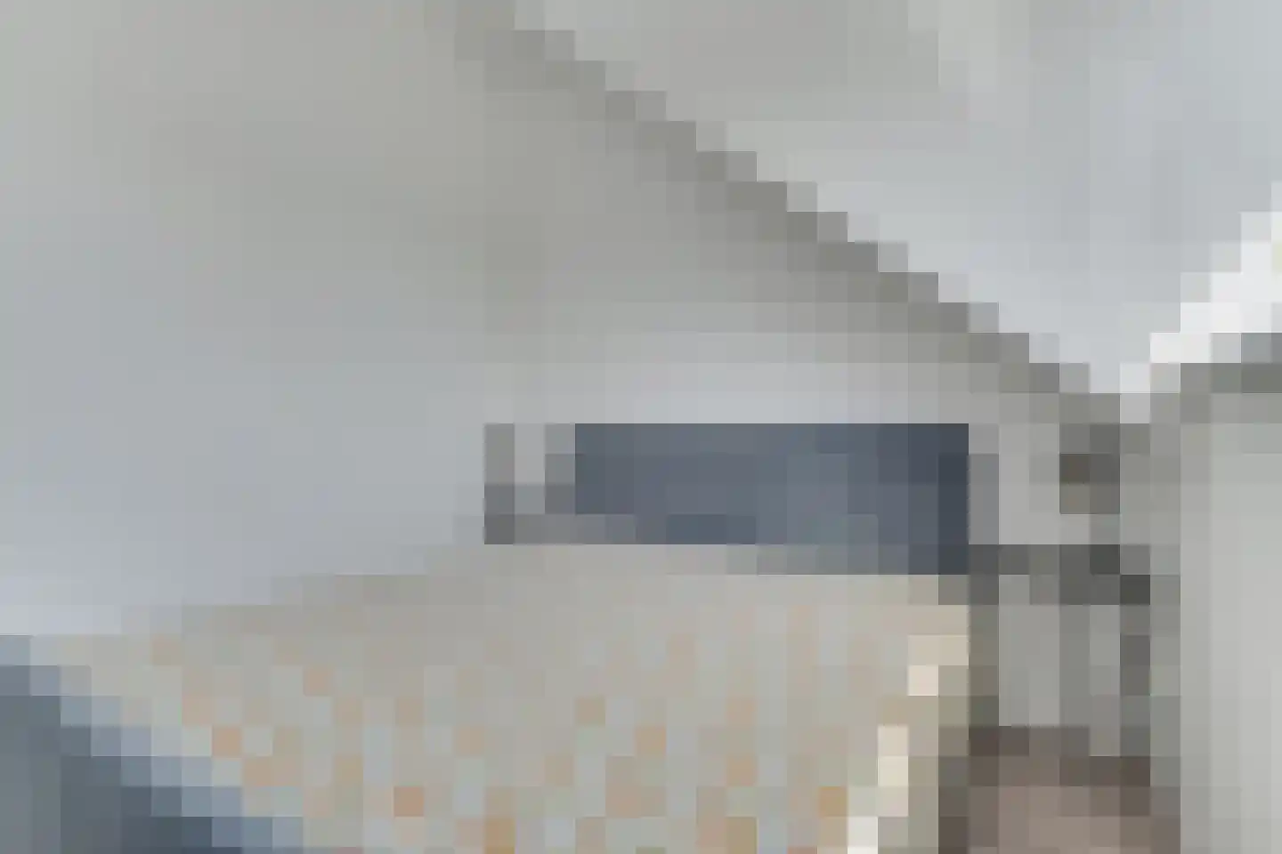 Paaldijk 2 Zwaag thumbnail 37