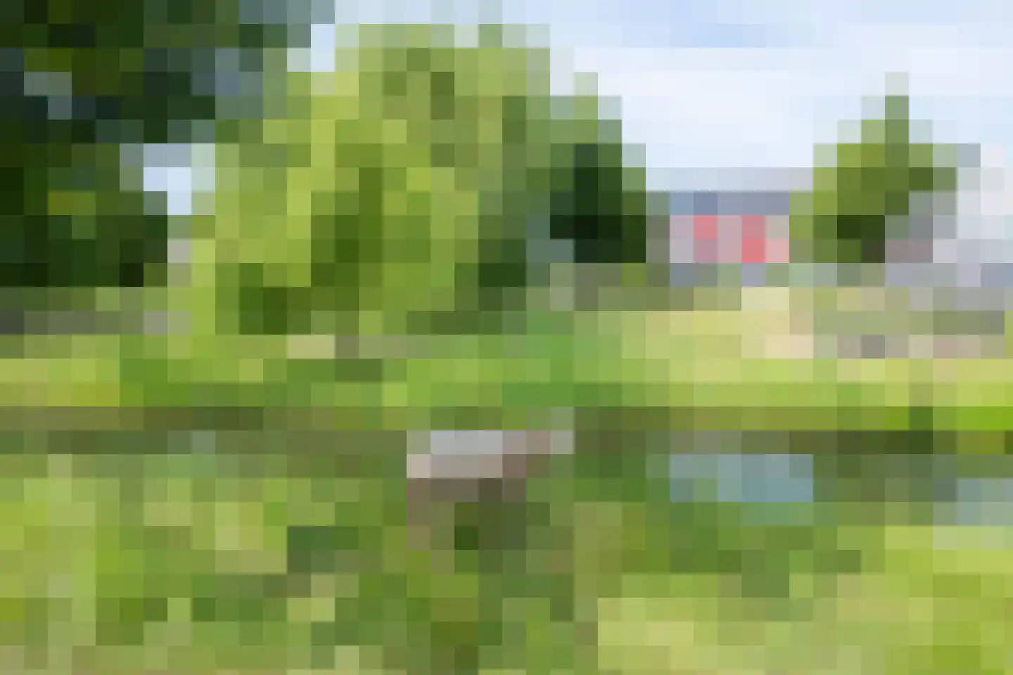 Paaldijk 2 Zwaag thumbnail 54
