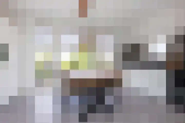 Paaldijk 204 Zwaag thumbnail 10