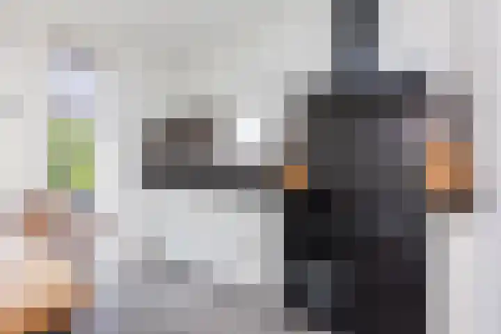 Paaldijk 204 Zwaag thumbnail 11