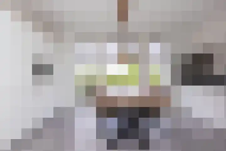 Paaldijk 204 Zwaag thumbnail 12