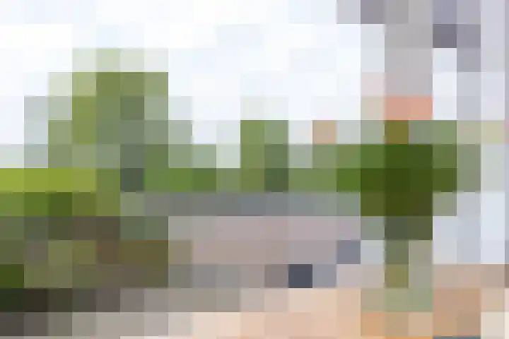Paaldijk 204 Zwaag thumbnail 15