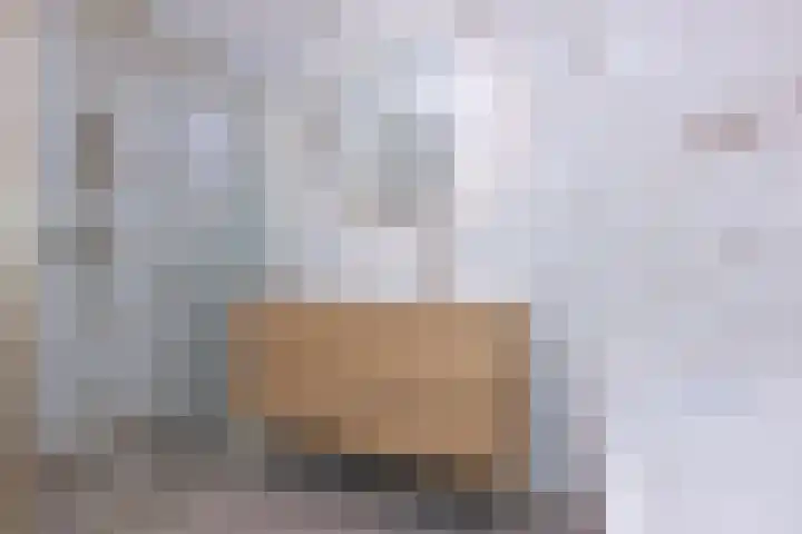 Paaldijk 204 Zwaag thumbnail 21