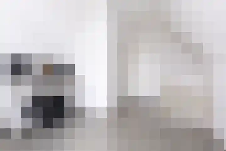 Paaldijk 204 Zwaag thumbnail 30