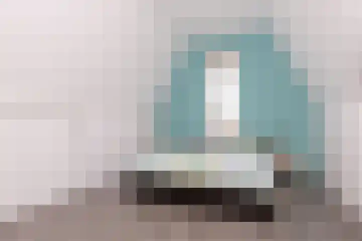 Paaldijk 204 Zwaag thumbnail 31