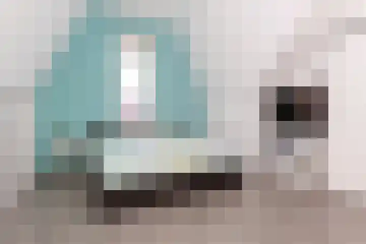 Paaldijk 204 Zwaag thumbnail 32