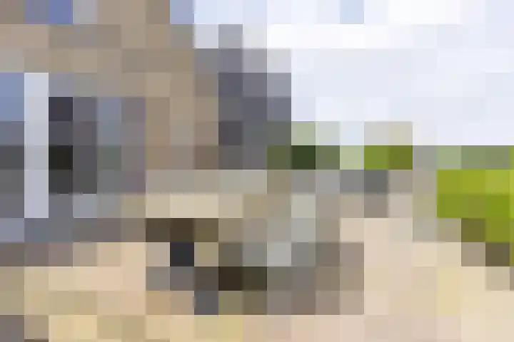 Paaldijk 204 Zwaag thumbnail 35