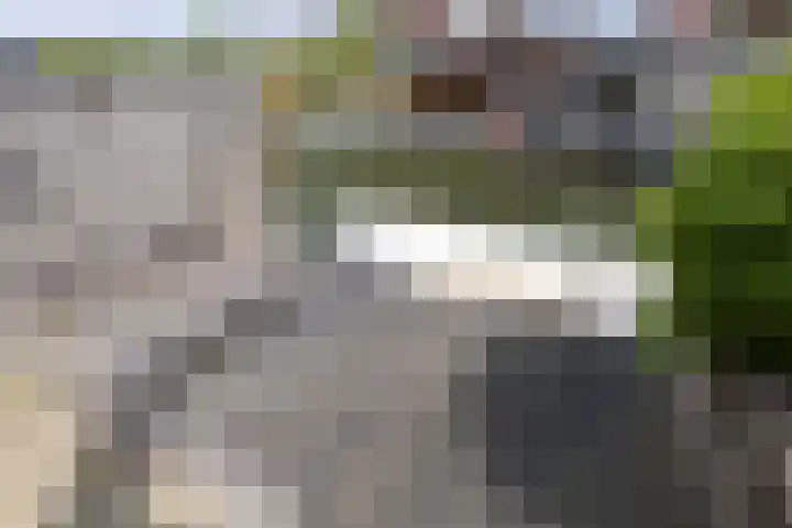 Paaldijk 204 Zwaag thumbnail 36