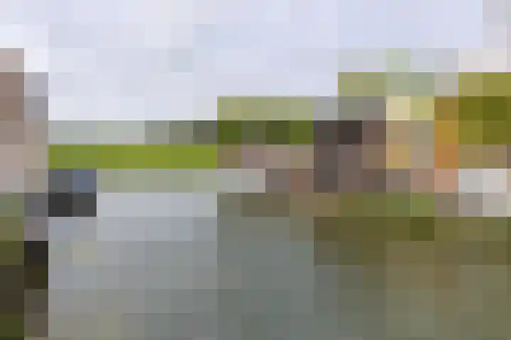 Paaldijk 204 Zwaag thumbnail 37