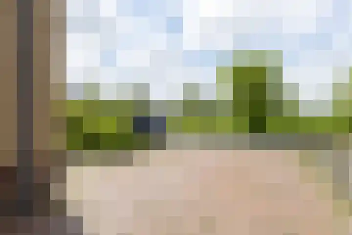 Paaldijk 204 Zwaag thumbnail 39