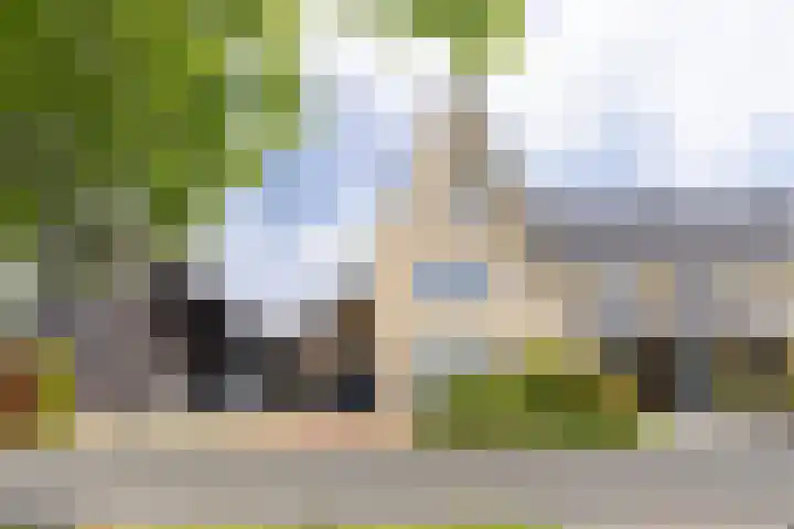 Paaldijk 204 Zwaag thumbnail 4