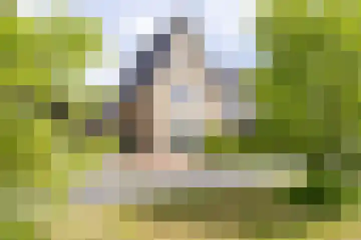 Paaldijk 204 Zwaag thumbnail 43