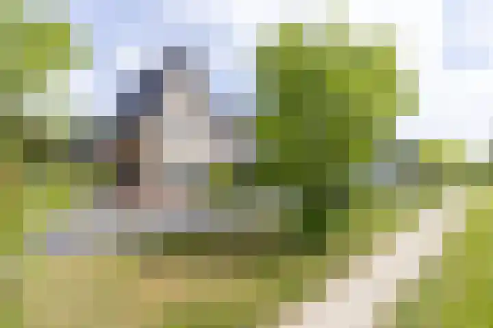 Paaldijk 204 Zwaag thumbnail 5