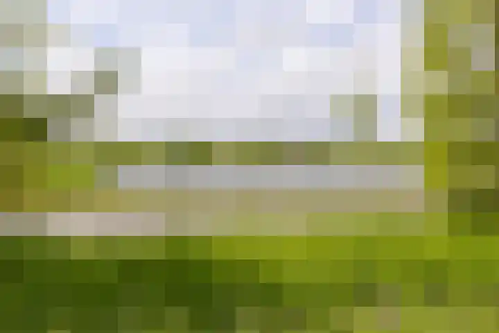 Paaldijk 204 Zwaag thumbnail 6