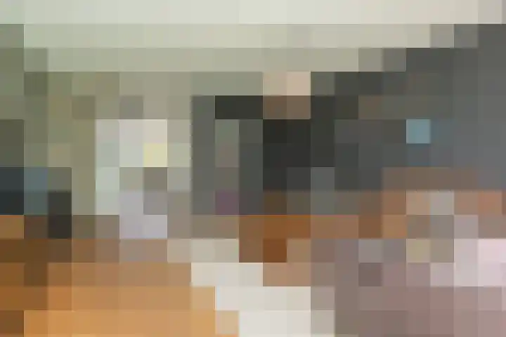 Paaldijk 204 Zwaag thumbnail 7