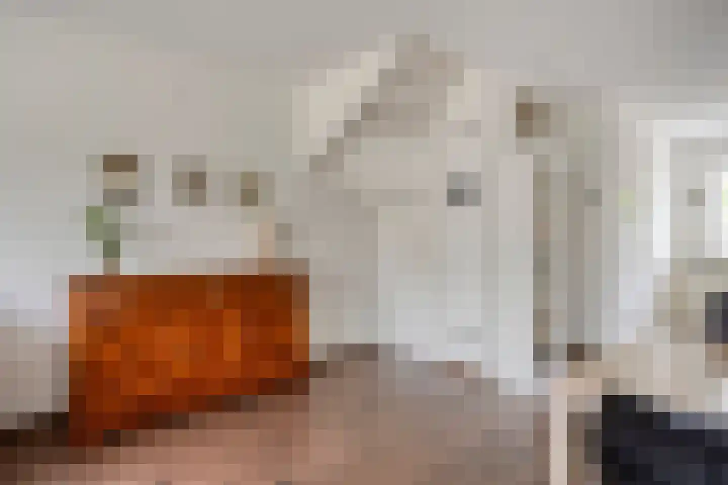 Paaldijk 47 Zwaag thumbnail 25
