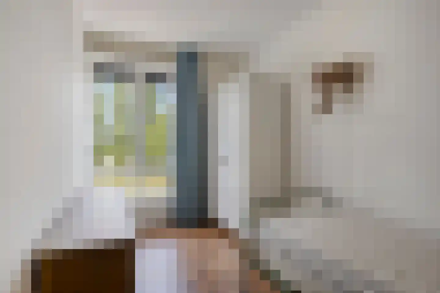 Paaldijk 47 Zwaag thumbnail 31