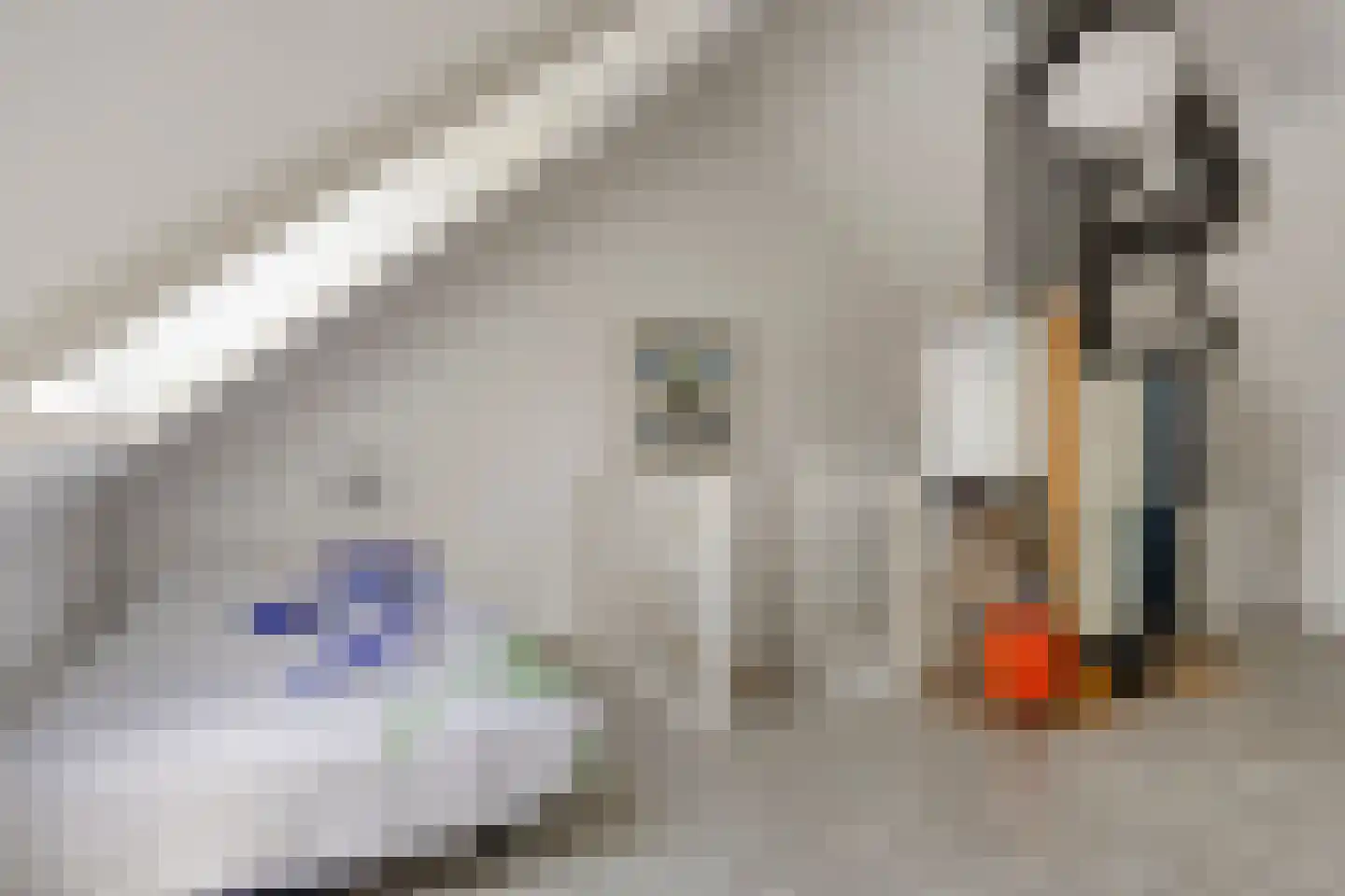 Paaldijk 47 Zwaag thumbnail 39