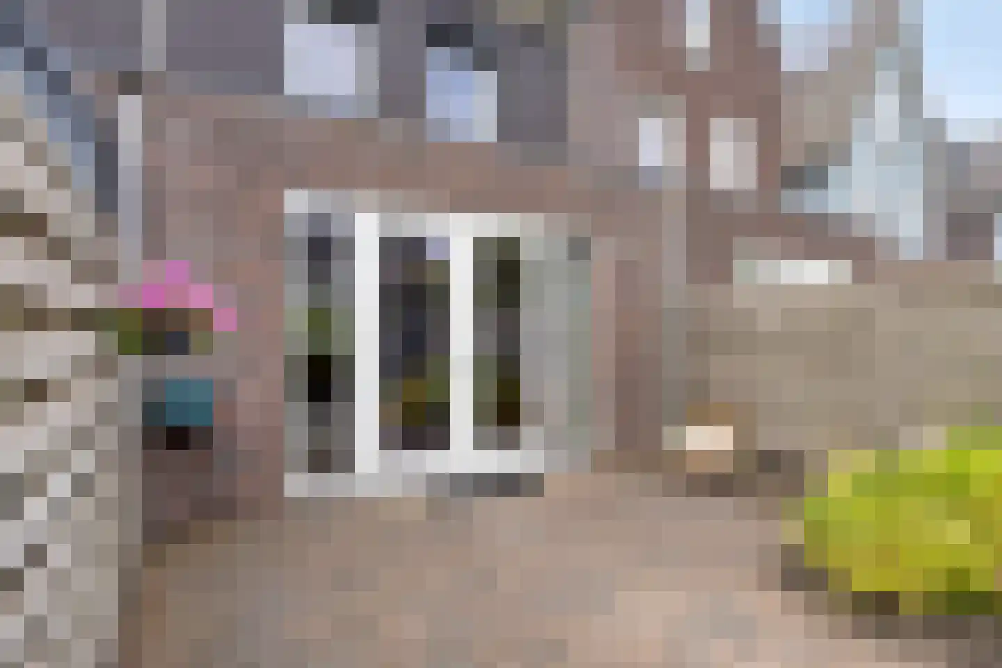 Paaldijk 47 Zwaag thumbnail 42