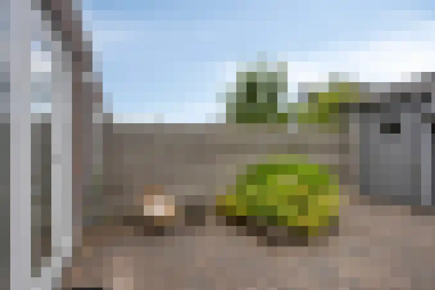 Paaldijk 47 Zwaag thumbnail 44