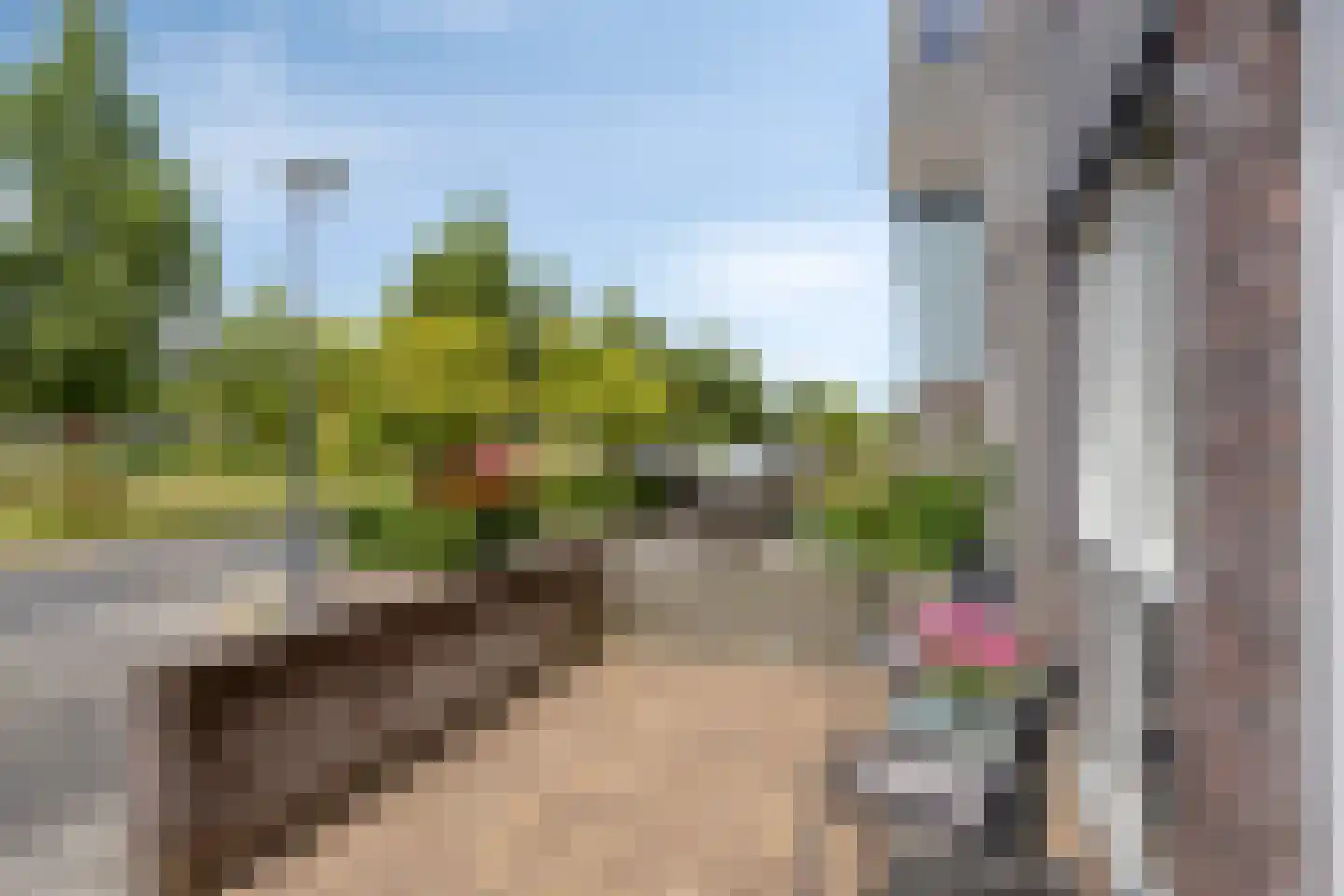 Paaldijk 47 Zwaag thumbnail 49