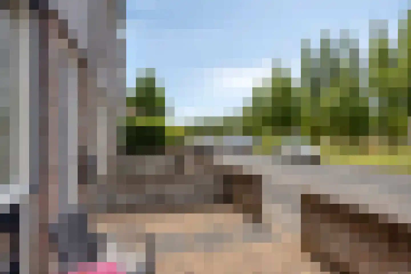 Paaldijk 47 Zwaag thumbnail 50