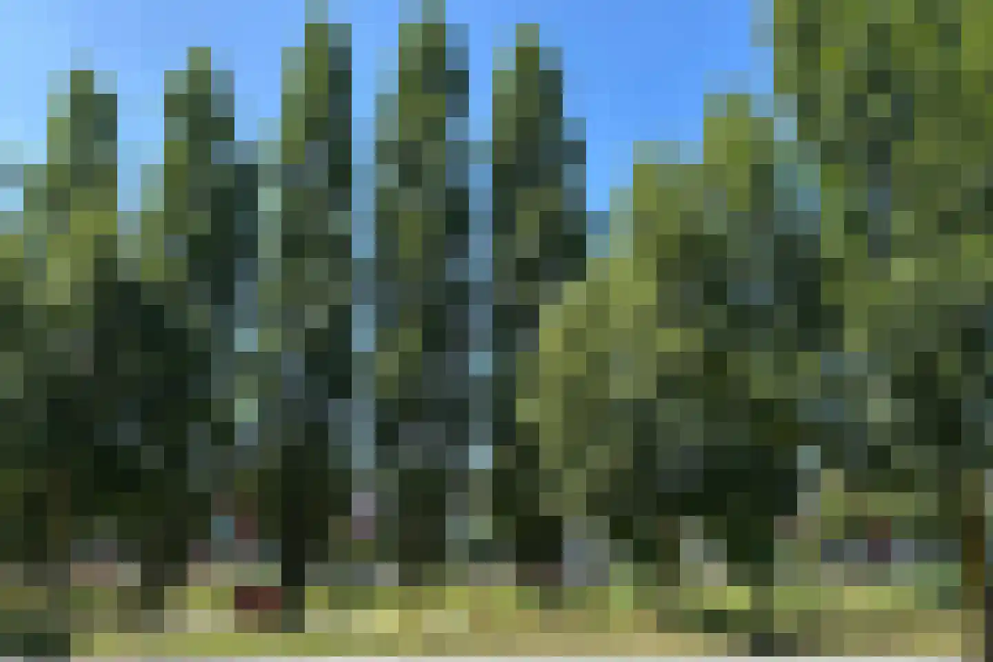 Paaldijk 47 Zwaag thumbnail 53