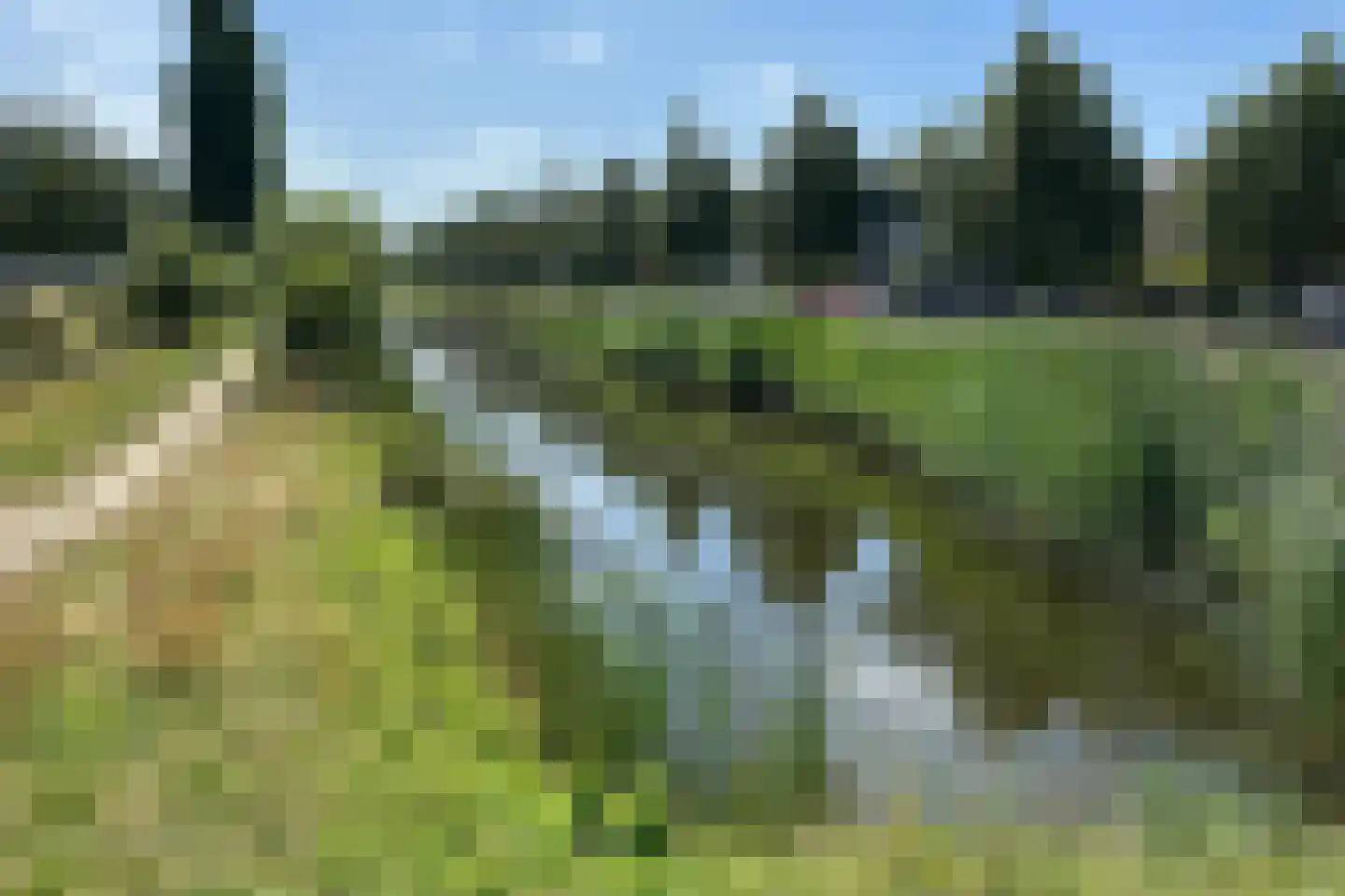 Paaldijk 47 Zwaag thumbnail 55